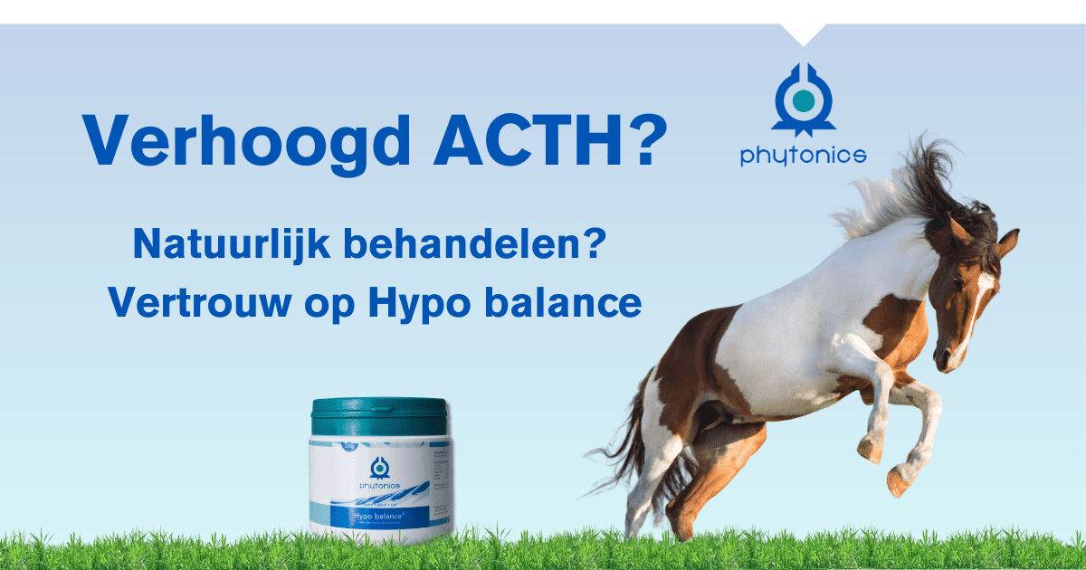 Hypo balance 1200x680