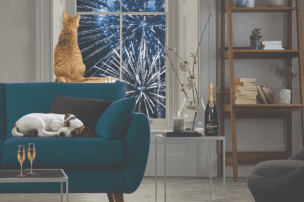 Vuurwerkangst dieren