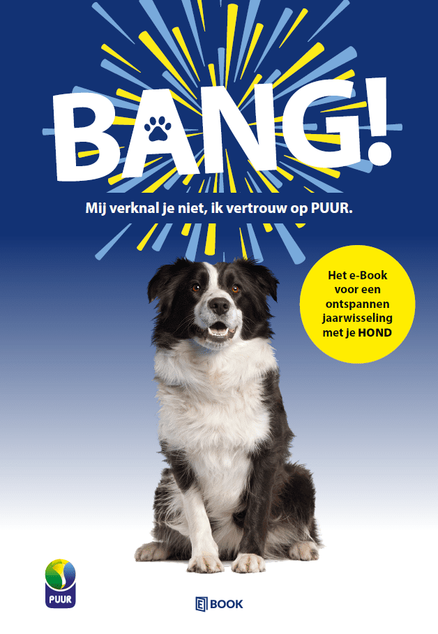 ebook bang hond
