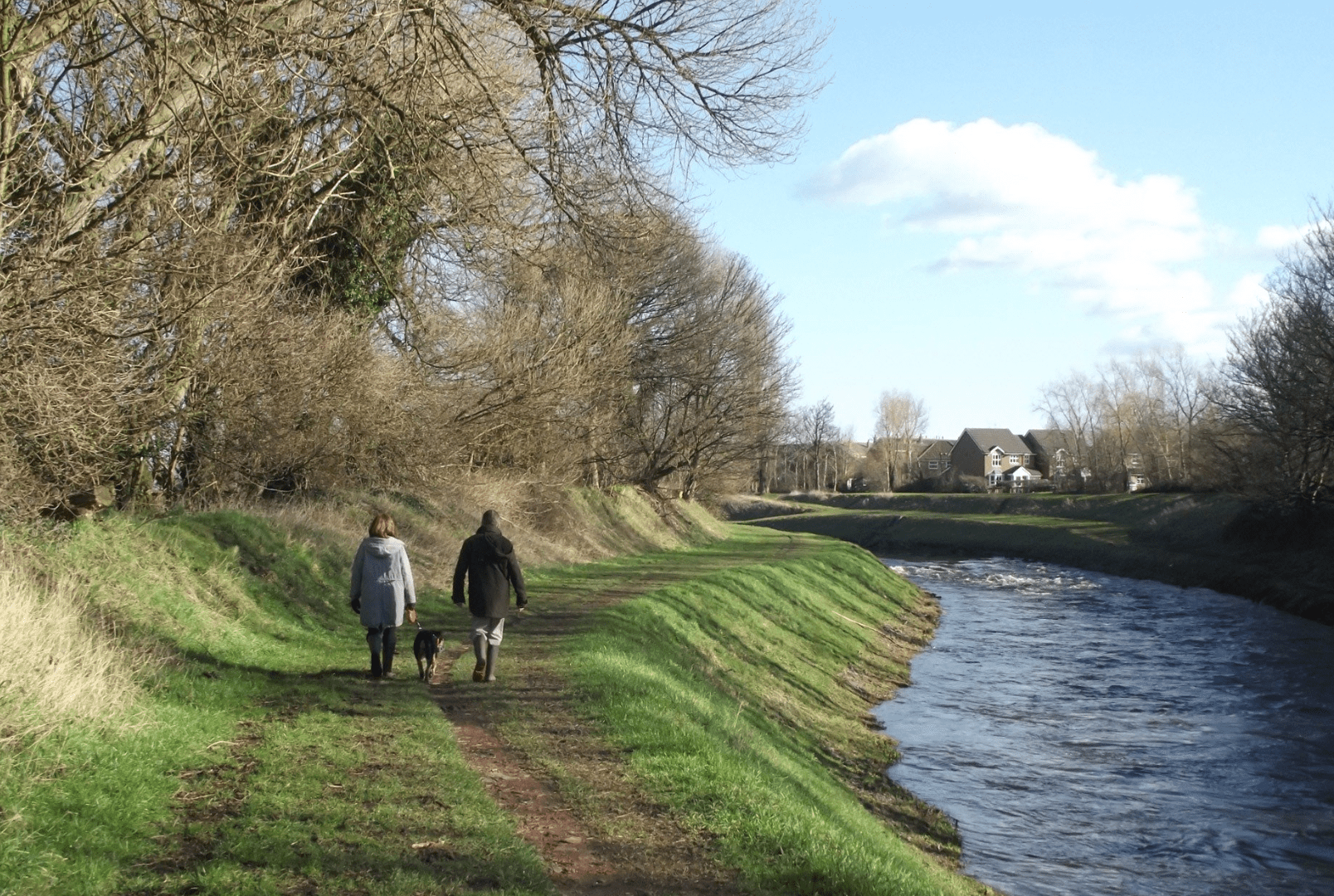 Wandelen oudere dier