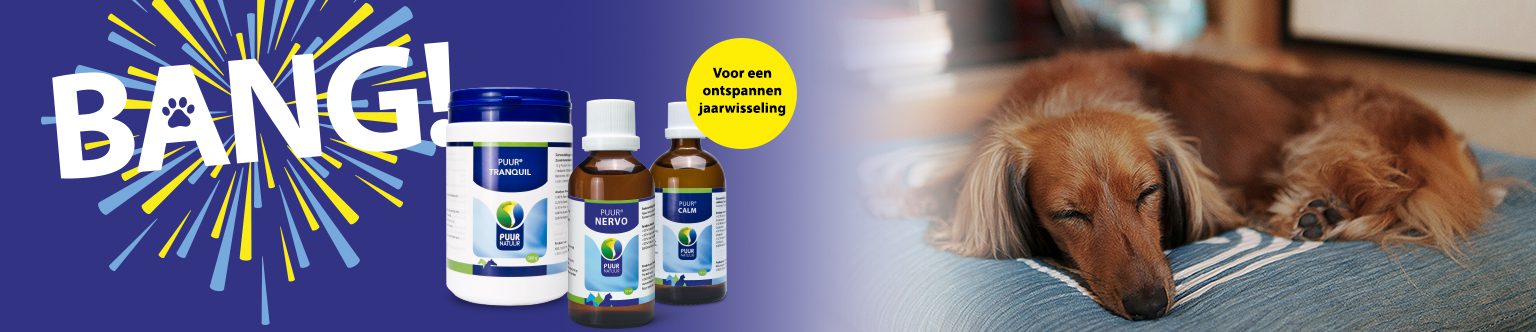banner puur website hond (1)